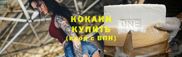 сатива Осинники