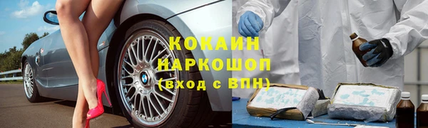 сатива Осинники