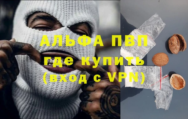 сатива Осинники