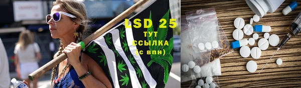 сатива Осинники