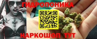 крисы Балахна