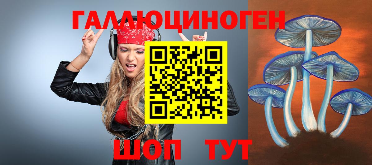 Галлюциногенные грибы прущие грибы Мурманск