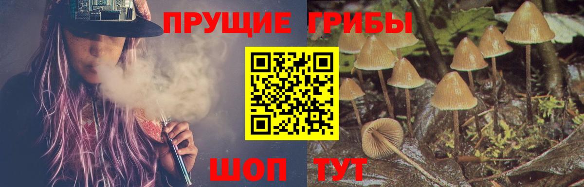 Галлюциногенные грибы мухоморы  Вход с VPN  Псилоцибиновые грибы Psilocybe  Мурманск 