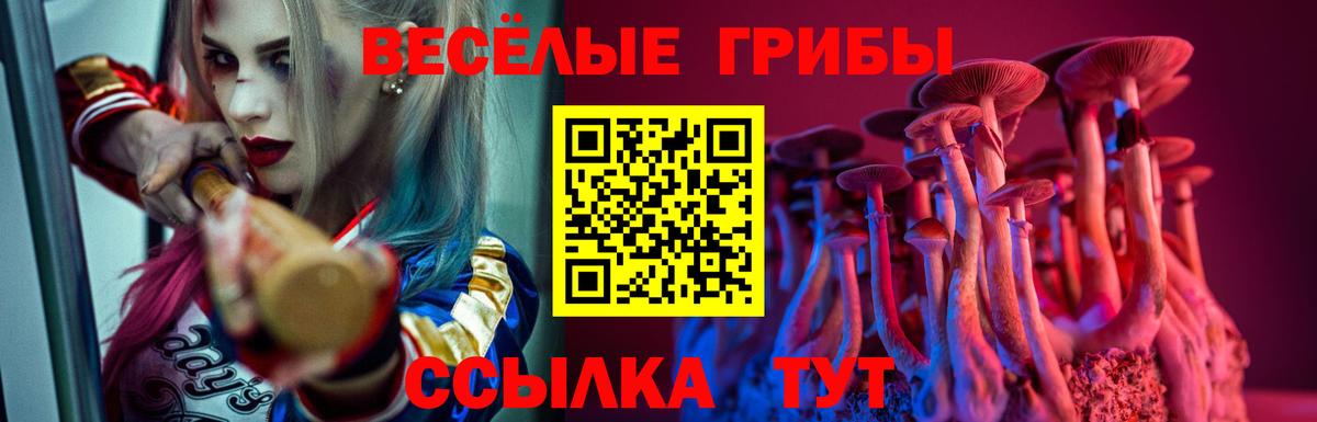 Галлюциногенные грибы мицелий Мурманск
